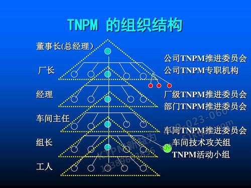 TnPM組織架構(gòu)